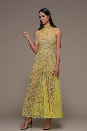 Sleeveless Lace A-line Midi Dress